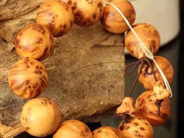 hth华体官方下载app