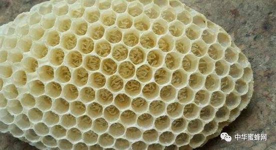 hth华体官方下载app