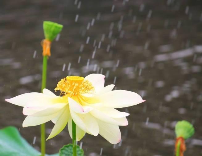 hth·华体:阿奇煤炭公司二季度净收入同比增45%(图3) hth华体